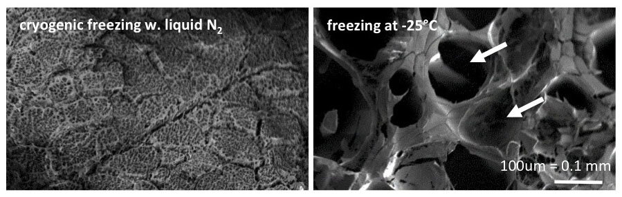 Det er tydeleg forskjell på strukturar i kjøttet ved ulik nedfrysing. Til høgre kan ein sjå korleis iskrystallars presser kjøttet saman og gir store hull i vevet.  Kryogenisk frysing som vist til venstre brukast no oftare i kjøttindustrien.
