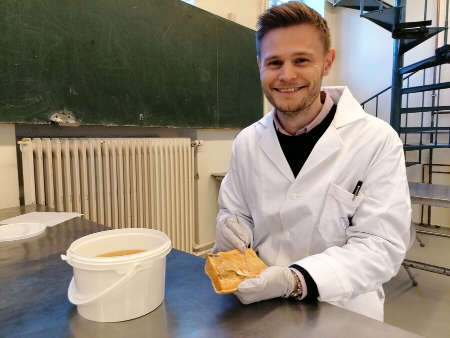 Oskar Mongstad Løken har funnet et nytt lakseorgan fullt av immunceller.