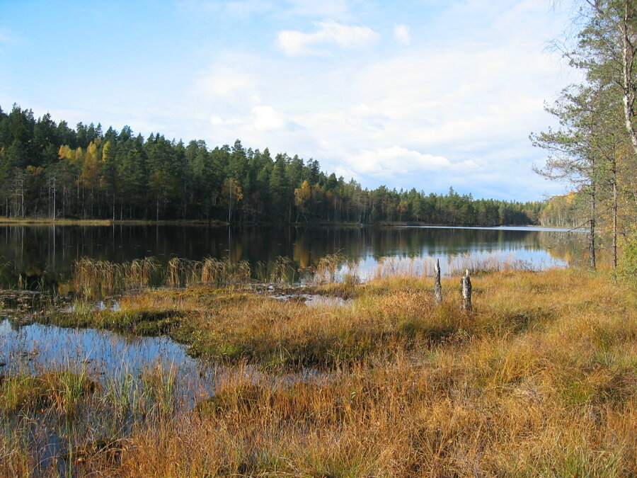 Eiriksvann, Østmarka