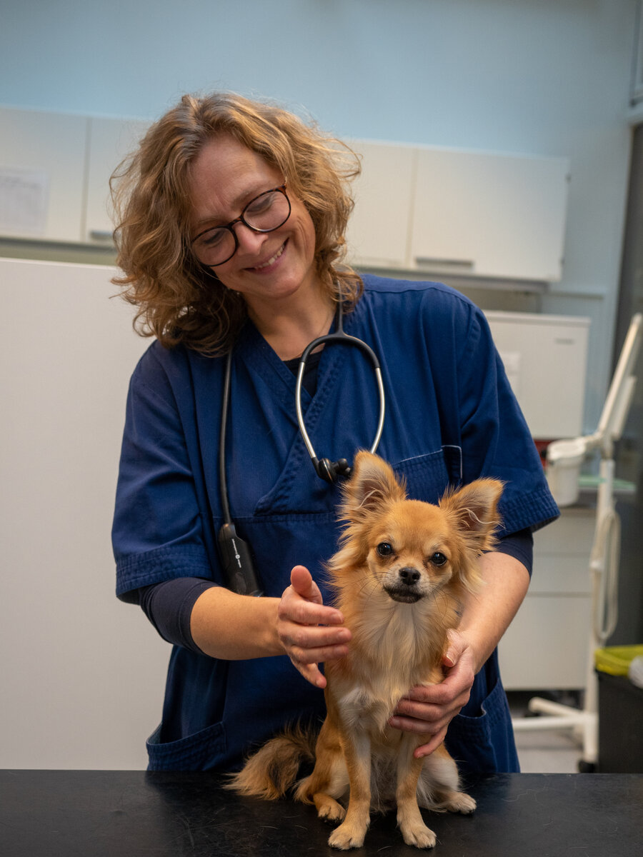 Lotte Marie Poulson har vært på Veterinærhøgskolen siden 2004. – Jeg trives godt og er glad for å få lov til å jobbe med indremedisin, akutt- og intensivmedisin. Her er hun sammen med hunden Eevee. 