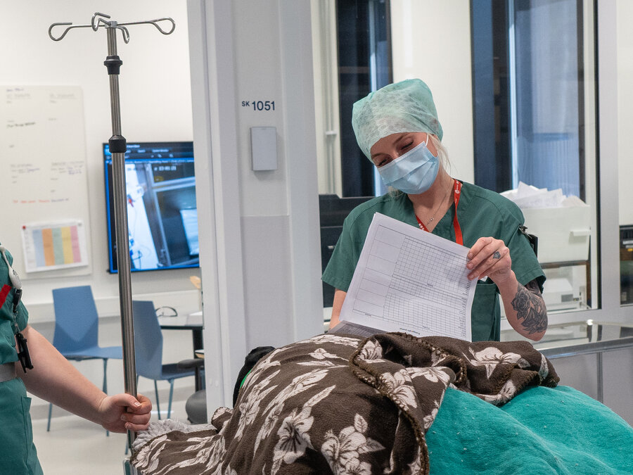 Isabel Skjeggestad jobber også som anestesidyrepleier ved Dyresykehuset – smådyr. Her tar hun av seg en pasient etter en operasjon.