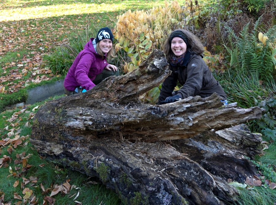 Siri Lie Olsen (t.v.) og Rannveig Jacobsen (t.h.) bak en av parkens "grønne" strukturer: en stor tømmerstokk. 