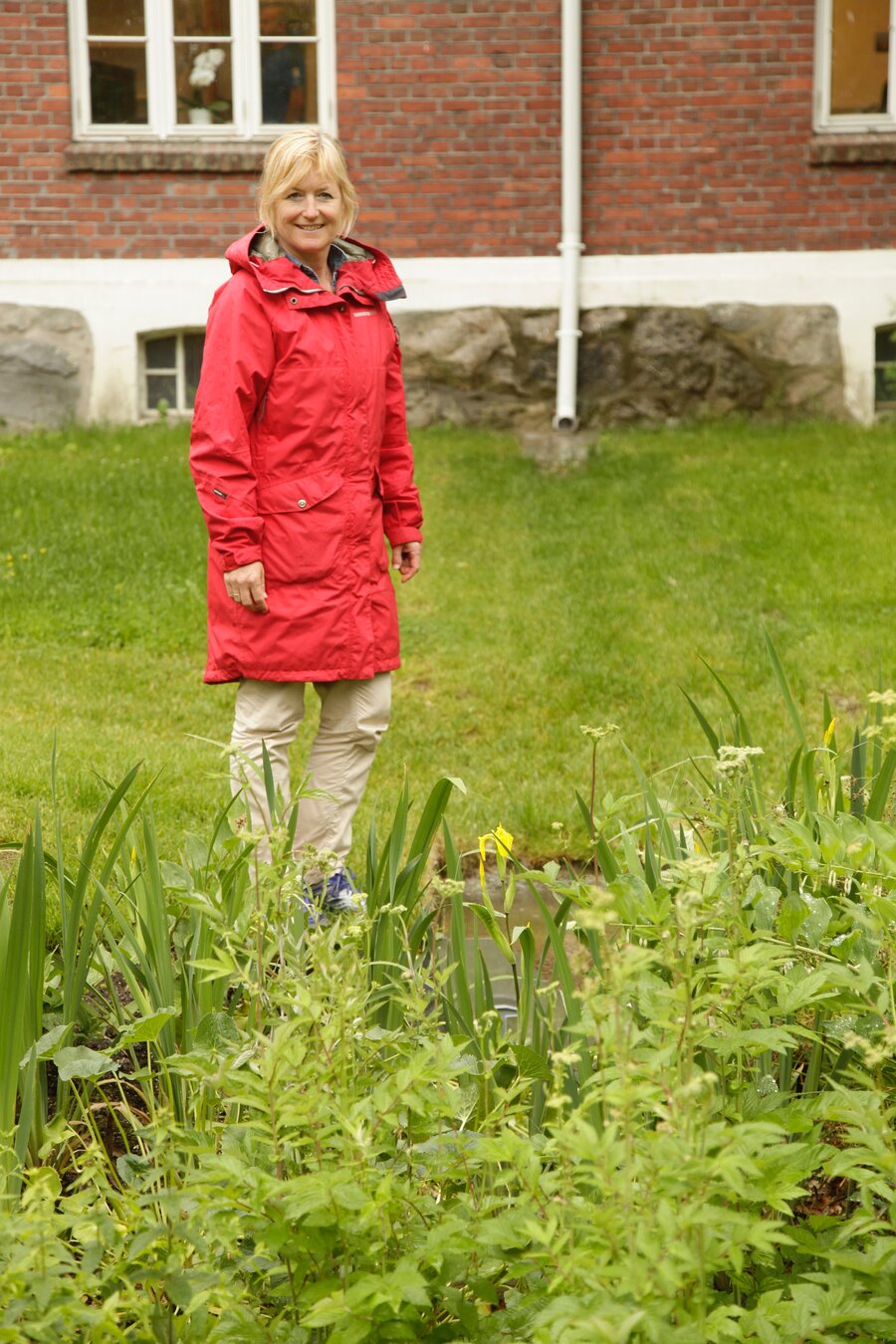 Førsteamanuensis Ingrid Merete Ødegård ved Institutt for landskapsplanlegging ved NMBU ser at vannet fra taknedløpet i bakgrunnen renner mot regnbedet. Vannflaten skjules delvis av plantene. 