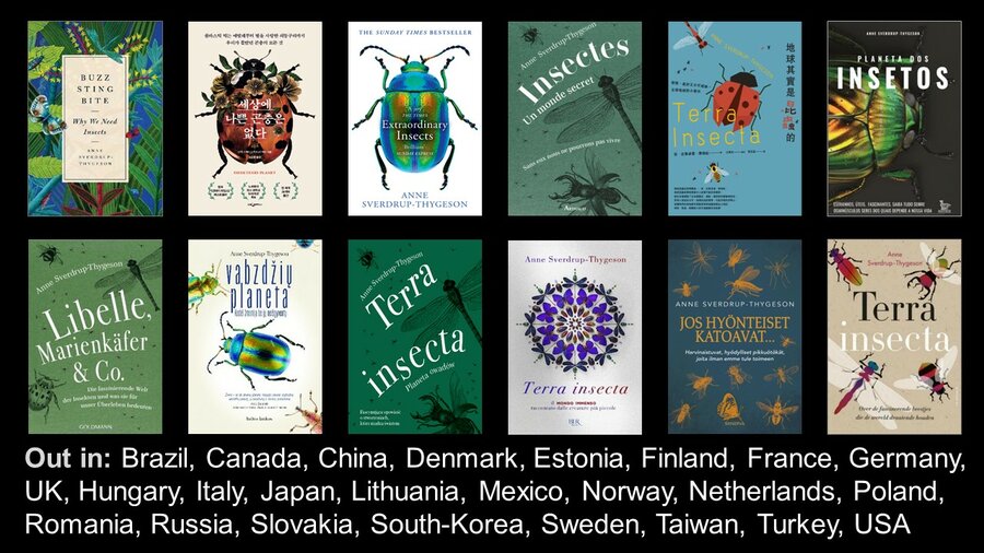 Cover utenlandske utgaver Insektenes planet