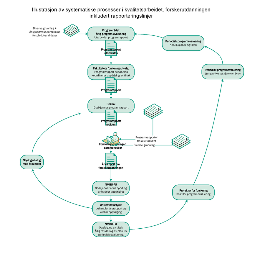 Illustrasjon av systematisk kvalitetsarbeidets prosesser og rapporteringslinjer, forskerutdanningen.