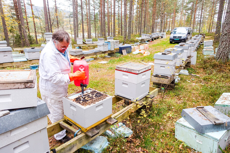 Næringsbirøkter Steinar Bjellås i Aust-Agder dreper biene sine. Også én gang tidligere ble han pålagt å destruere alt av utstyr og drepe husdyrene sine. 