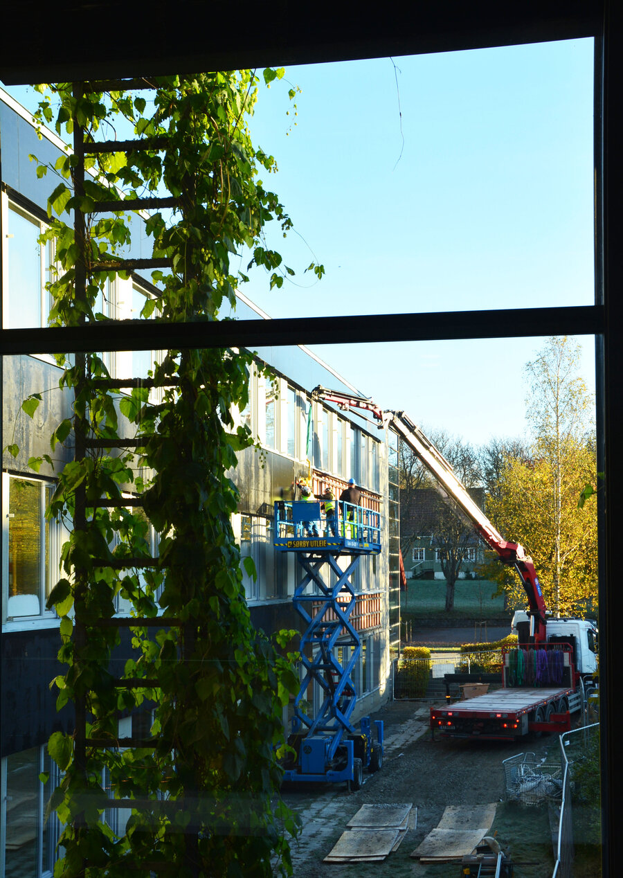 Klatreplantene på østveggen skal bevares. Her er den nye solcelle-fasaden sett gjennom østveggen i Vrimlehallen. 