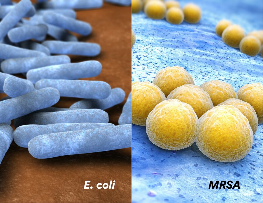 Der E. coli er stavformet, er stafylokokkene runde. 