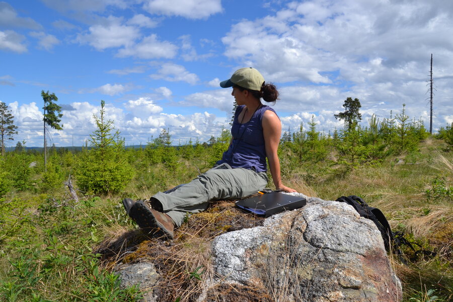 Julie Percival during fieldwork in northern Sweden. 