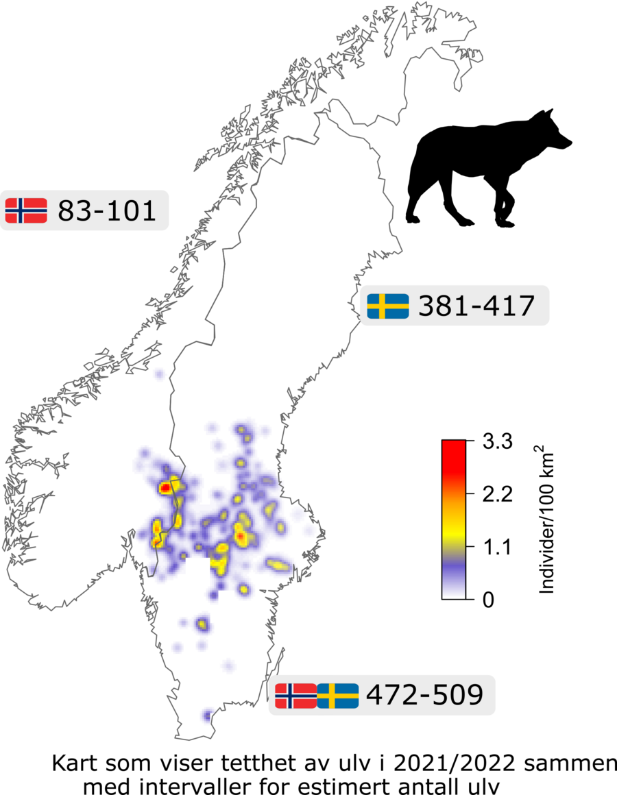 Ulvebestand Skandinavia vinteren 2022/2023. 