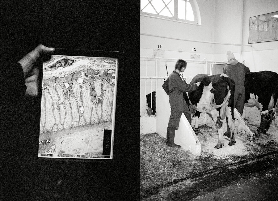 Enkelte av bildene i fotoboken er tatt med en svart-hvitt-film som Løkken fant oppe på et loft på Adamstuen.