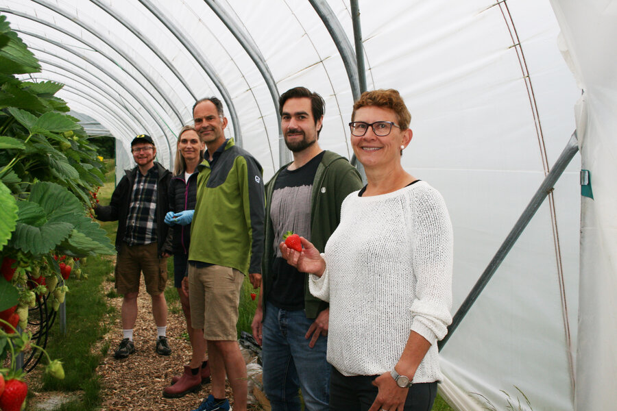 rskere i arbeid. Fv Anders Hansen (SINTEF), Siv Fagertun Remberg (NMBU), Jens Petter Wold (Nofima), Petter Vejle Andersen (Nofima) og Kjersti Aaby (Nofima).
 
