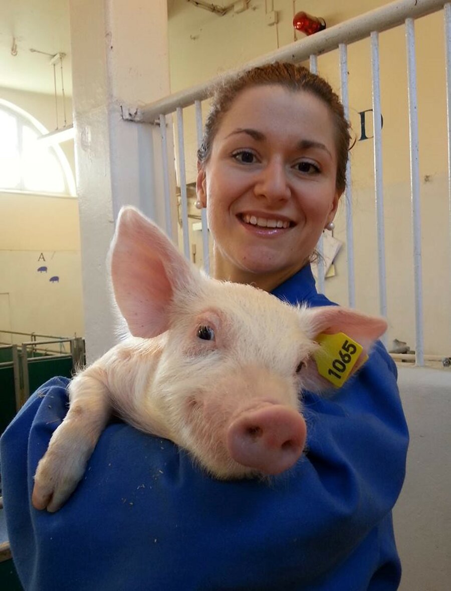 Miriam Cohen med en av grisene hun har forsket på.