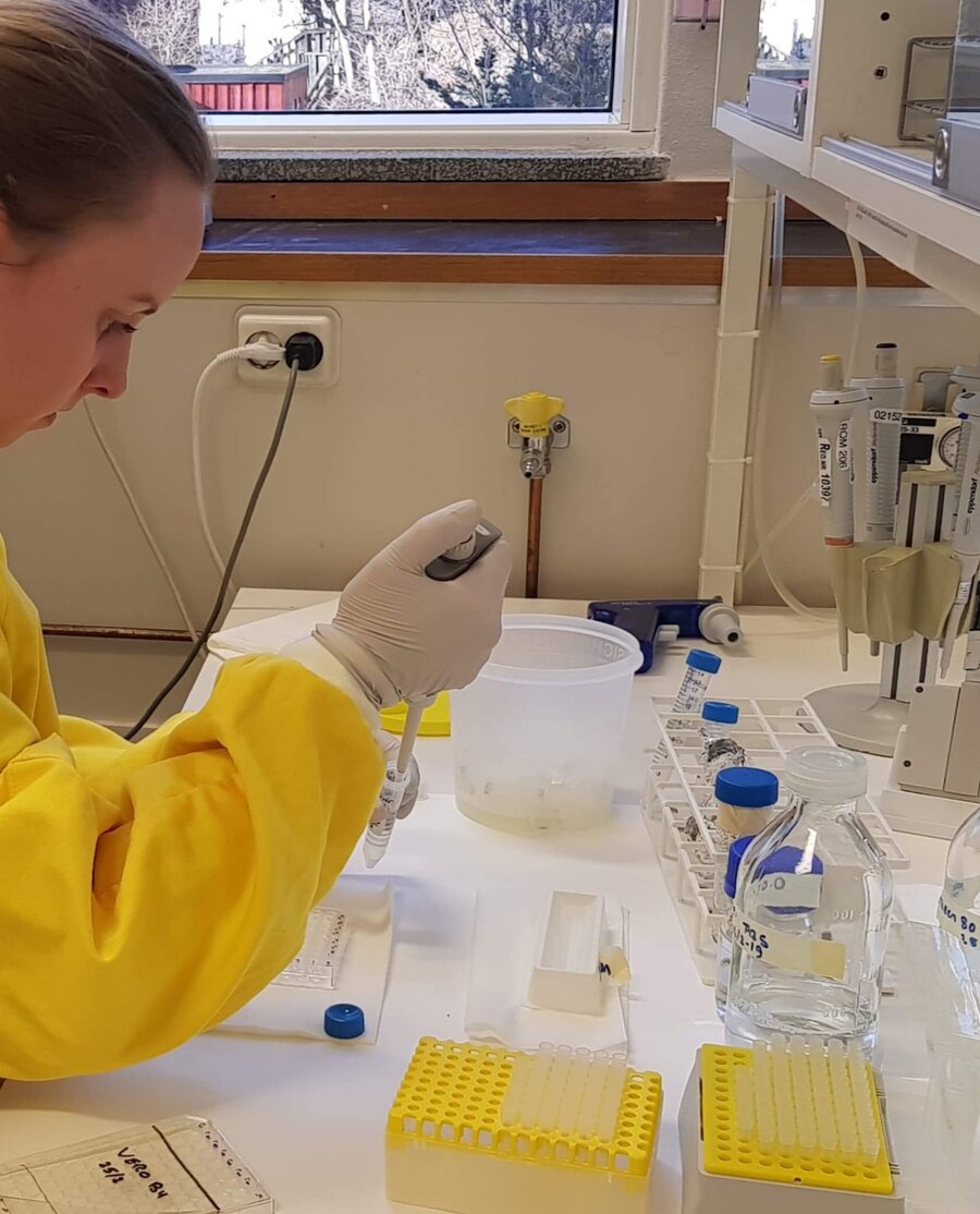 Katrine Mørk Paulsens doktorgradsarbeid har for første gang i Norge påvist viruset TBEV i upasteurisert melk.
