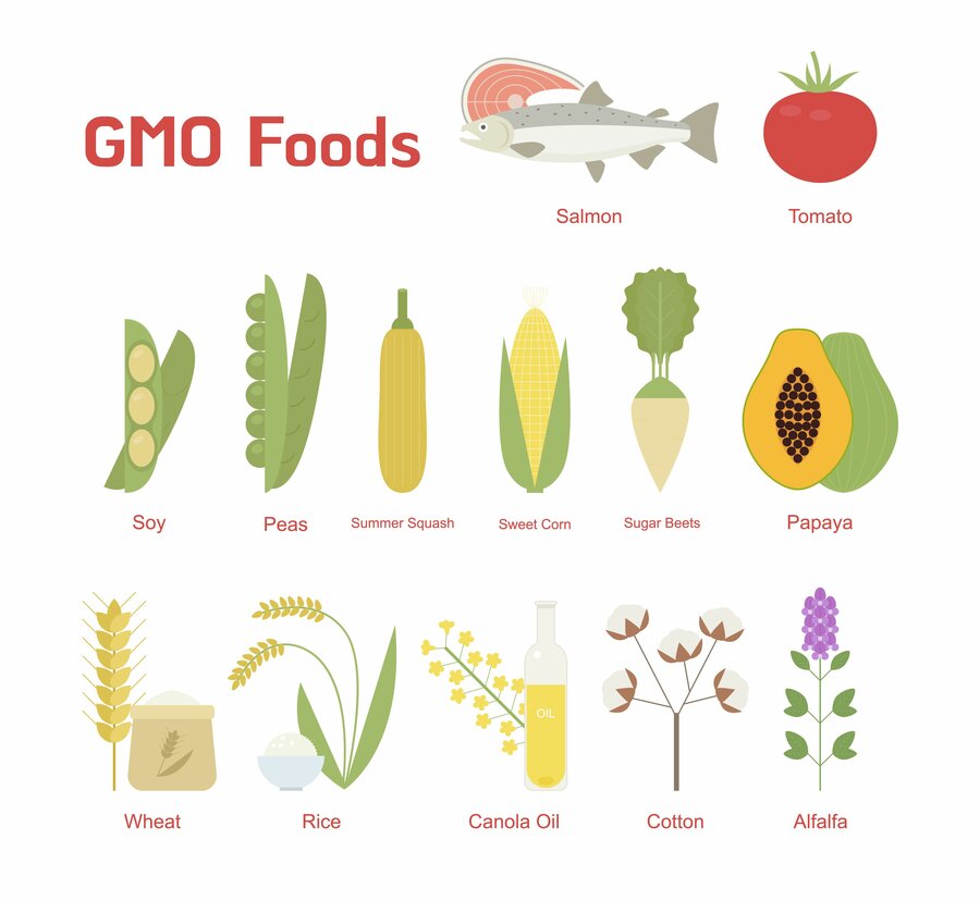 En ny studie har undersøkt forbrukerholdninger til genmodifisert soyaolje, laks fôret med genmodifisert soya og genmodifisert laks i USA og Norge.