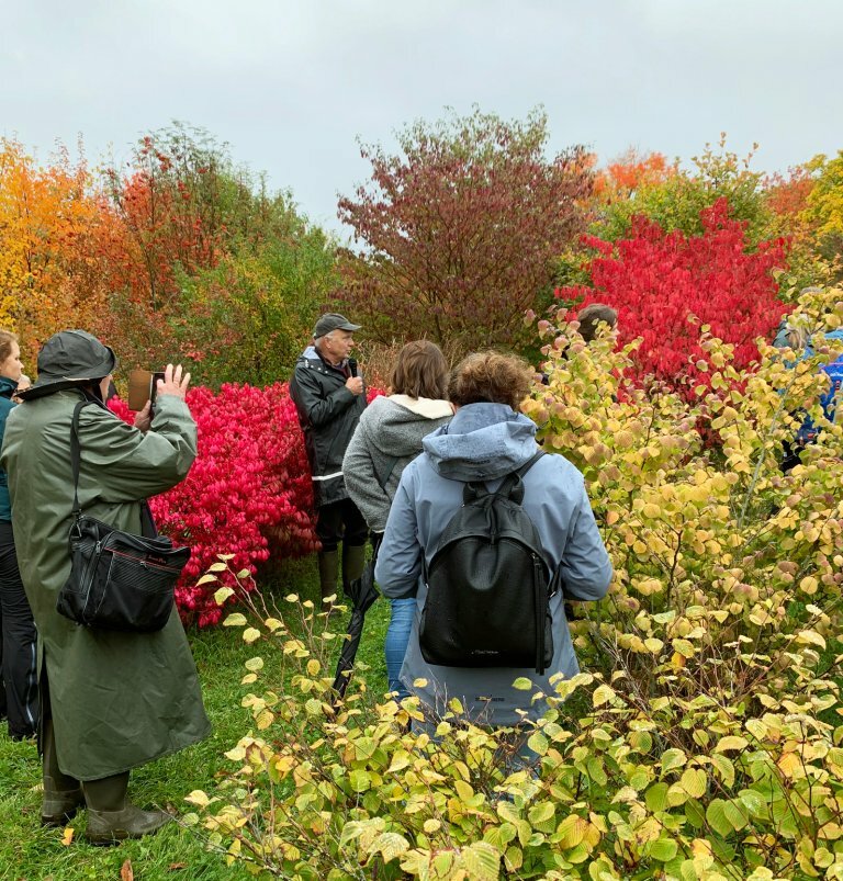 Per Anker Pedersen, som ledet arbeidet med grøntanleggsplantene fram til 2020, har omvisning i plantefeltene. Planten med røde høstfarger til venstre er Euonymus alatus, mens den røde til høyre i bildet er Euonymus oxyphyllus. 