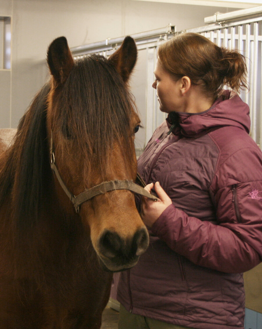 Å bevisst bruke temperament i markedsføringen av de nasjonale hesterasene vil løfte elementene i temperament opp til bruksegenskaper for rasene, sier avlsforsker Hanne Fjerdingby Olsen.