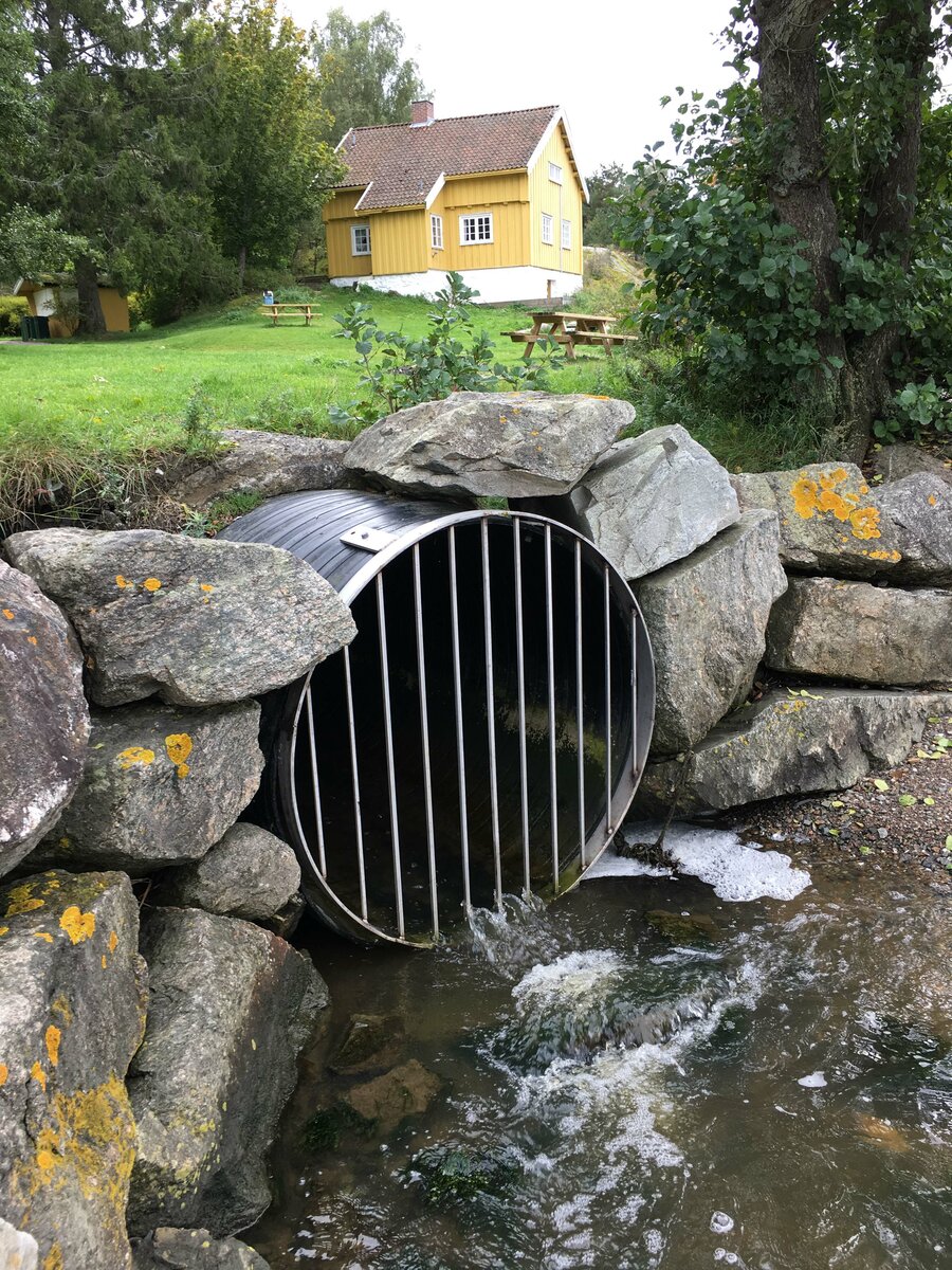 De store vannverkene har trygt drikkevann. Arve Heistad vil ha mer kunnskap med tanke på områder med små, private vannforsyningsløsninger og utslipp fra spredte avløpsanlegg.