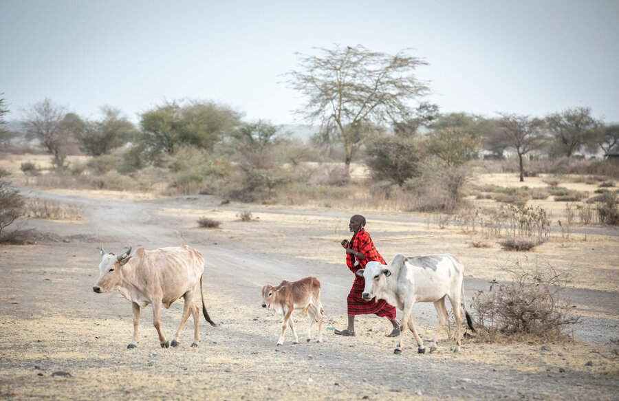 Klimatilpasningsprosjekter truer livsgrunnlaget til gjetere i Etiopia.
