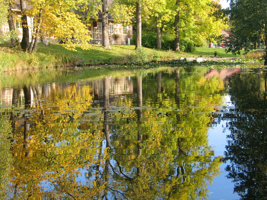 Svanedammen 2009 (På folkemunne kalles den Andedammen)