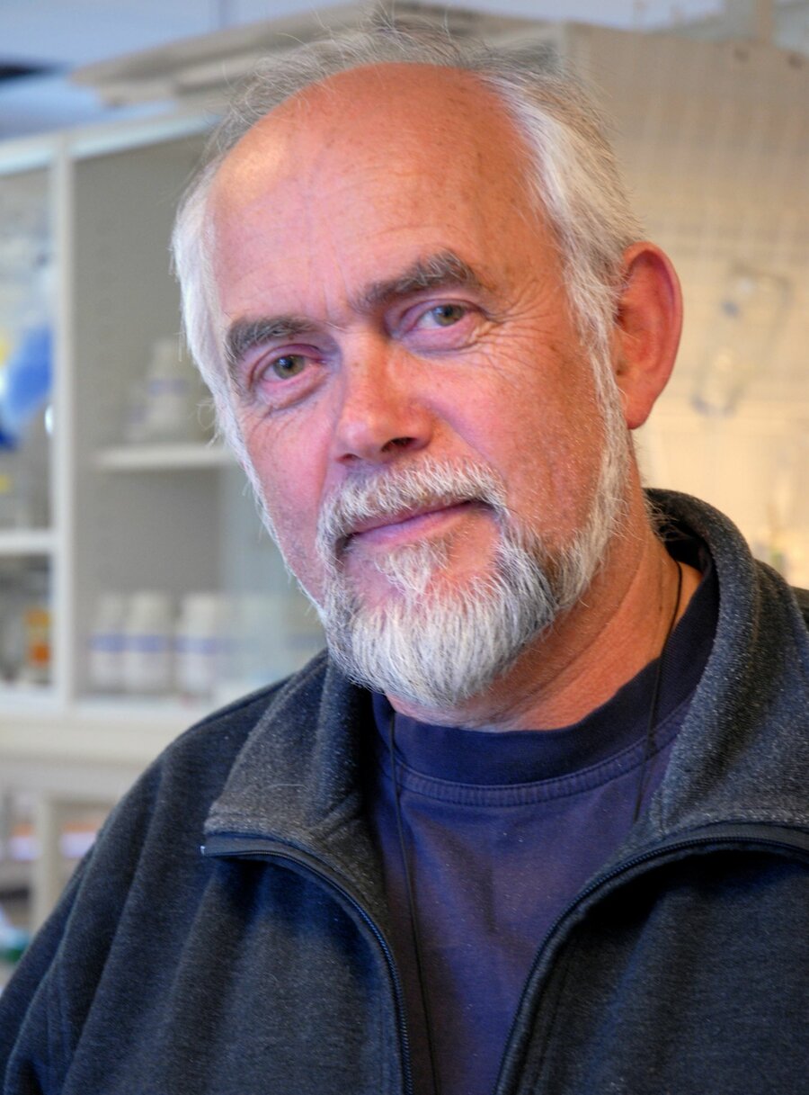 Ingolf Nes - den første forskningssjefen for LMG.