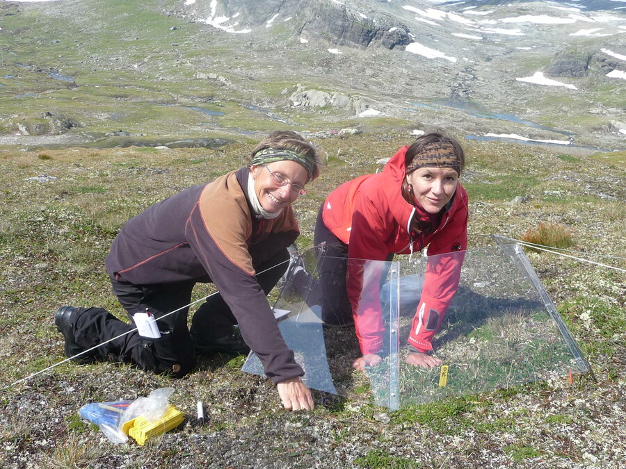 NMBUs professor Kari Klanderud og daværende masterstudent i naturforvaltning, Ivana Molovcakova.