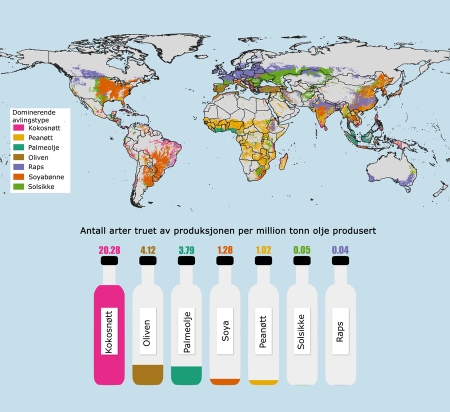Verdenskart som viser den dominerende avlingstypen per arealenhet. Oljenivåene i flaskene representerer antall arter som er truet av hver type vegetabilsk olje per million tonn produsert olje. 