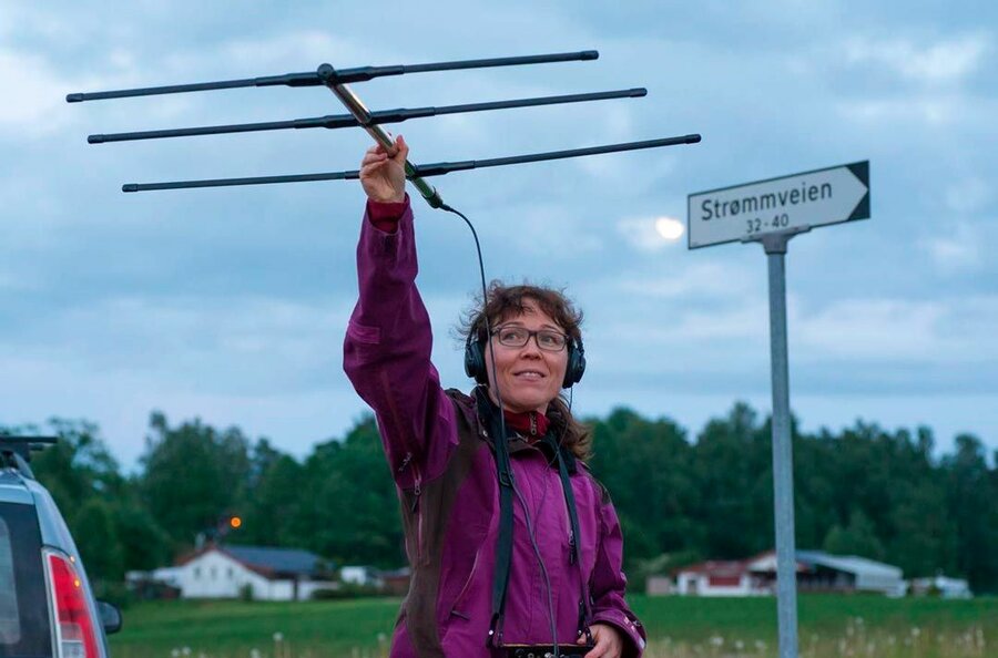 Small radio transmitters attached to each bat can be traced using a hand-held laser scanner. 