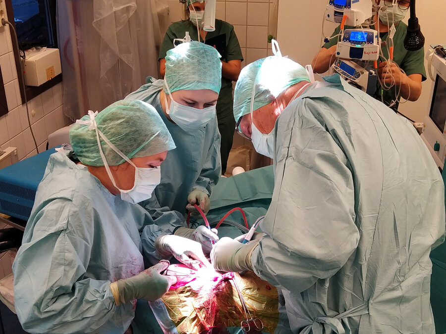 Selv om kirurgene har urført hjernekirurgi før, er det første gang det har blitt gjort et slikt inngrep på Veterinærhøgskolen. Operasjonen tok nesten sju timer.