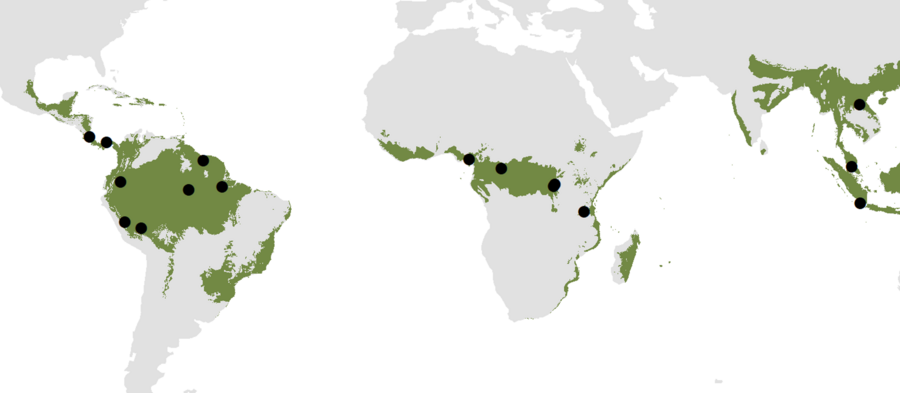 Map showing the different locations of the cameras used in the study.