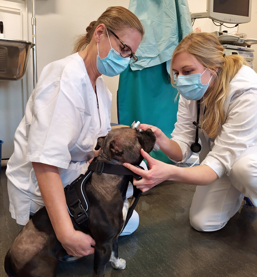 Nevrologene Karin Hultin Jäderlund (til venstre) og Josefin Hultman skjønte raskt at Mollys problemer skyldes en skade i hjernen. Her er Molly på kontroll etter operasjonen. 
