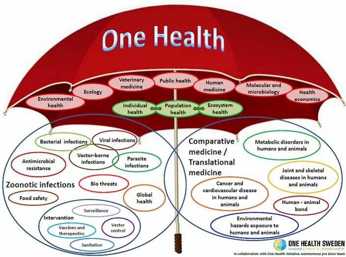 Illustrasjon fra http://www.onehealthinitiative.com