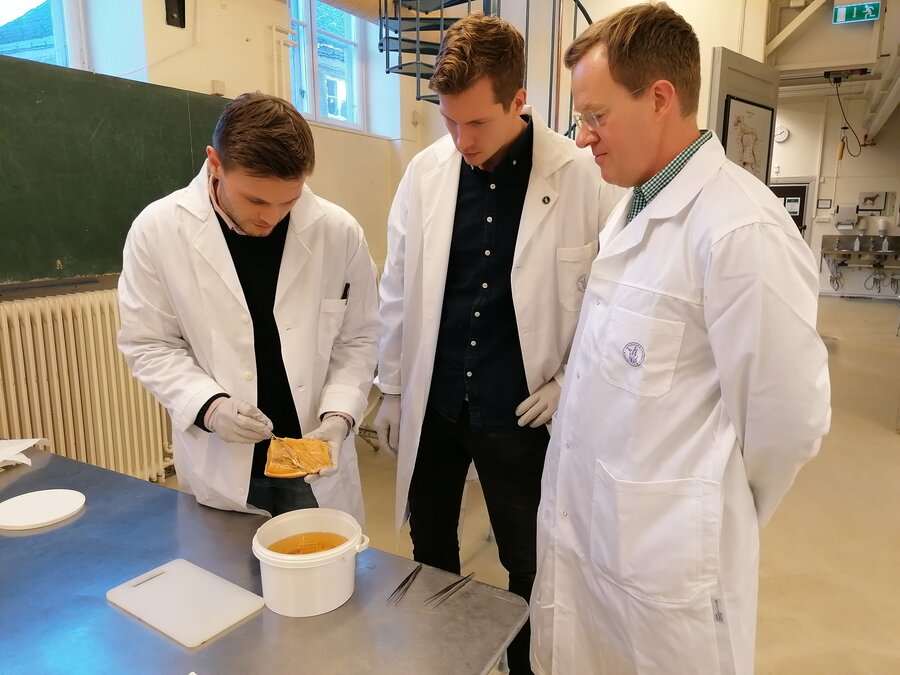 Oskar Mongstad Bjørgen (t.v.), Håvard Bjørgen og Erling Olaf Koppang har samarbeidet om å identifisere det nye organet.