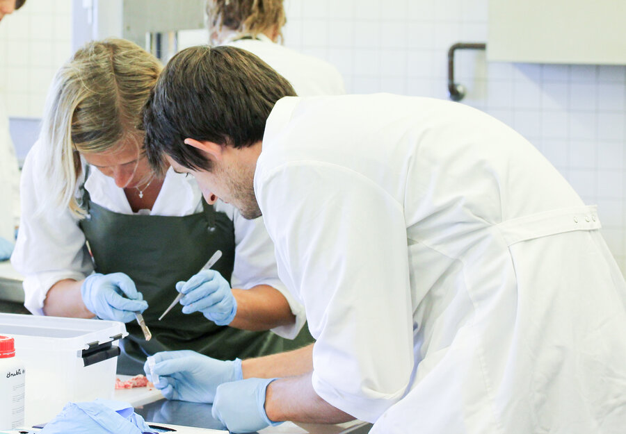 Øyvind Salvesens doktorgradsarbeid gir ny kunnskap om hvordan prionproteinet fungerer i kroppen ved å ha undersøkt en unik genetisk linje av norske melkegeiter.