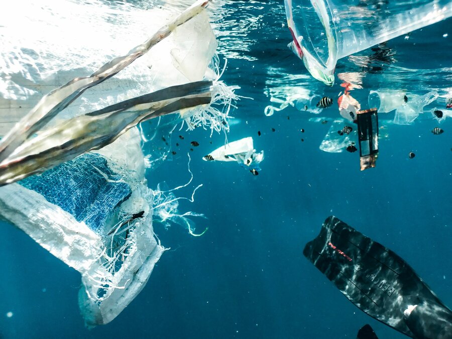 Hvert år havner store mengder plastavfall i naturen og utgjør en stor trussel for miljøet. 