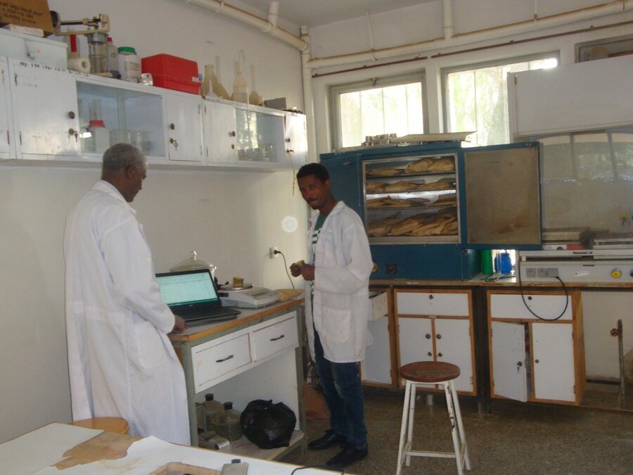 PhD candidate Mengesteab Hailu Ubuy (left) at work in the lab. 