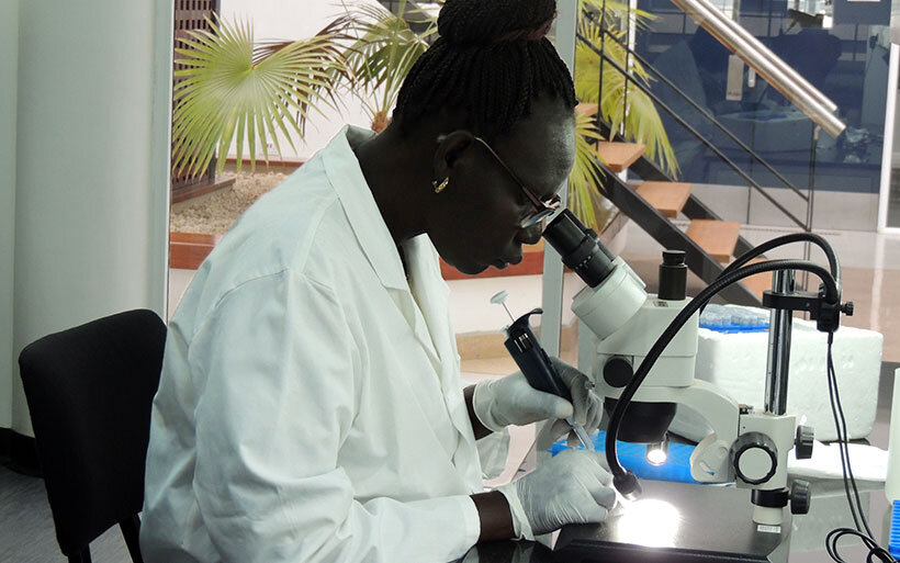 Doktorgradsforsknigene til Beatrice Misaka Langwa er gjort mulig gjennom NORHED-programmet i NORAD og ved tilgang og bruk av moderne teknologi på NMBU.