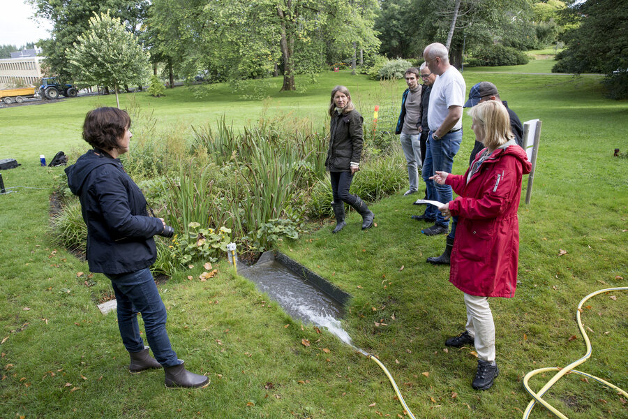 Parken på Campus Ås på NMBU brukes som et landskapslaboratorium hvor tiltak for å håndtere overvannsproblemer testes og utvikles. Regnbedet på bildet er en del av prosjektet.