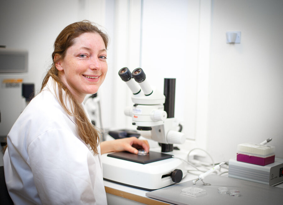 Reina Jochems har utviklet metoder for in vitro embryoproduksjon hos svin.