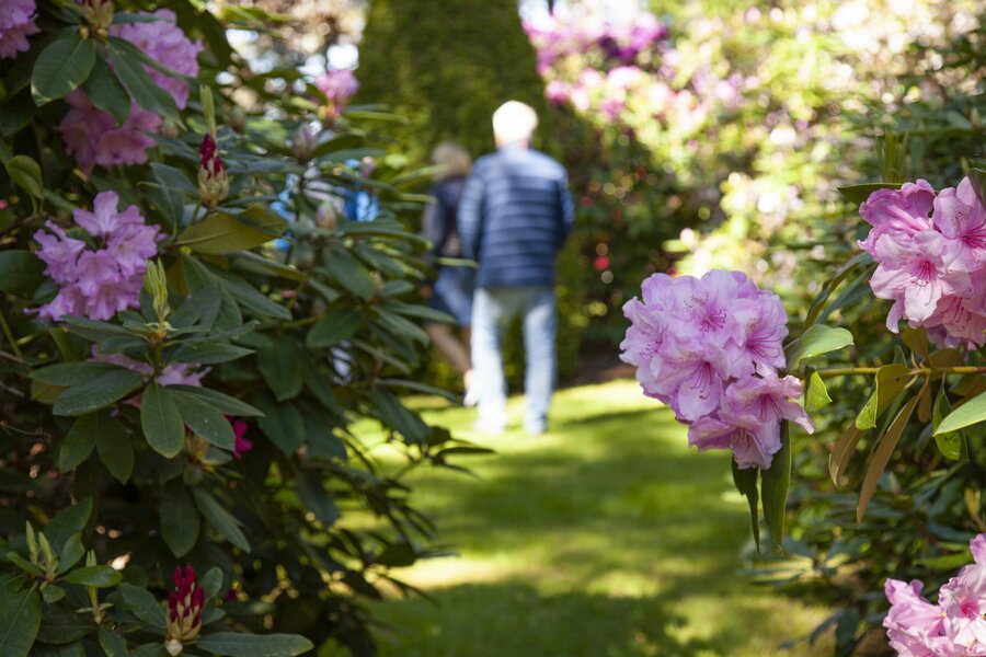 Mona Skogen bruker nærmiljøet som en del av tilbudet på gården. Denne dagen gikk med på en rundtur i Rododendron-hagene på Risholmen utenfor Fredrikstad. 