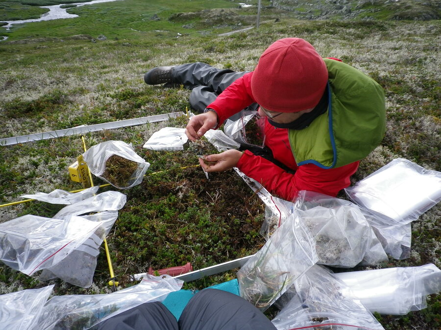 PhD candidate Ruben Roos doing his field work at Finse, Norway. 