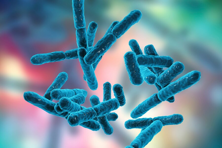 I den nye databasen har forskerne sammenlignet arvematerialet til nesten en halv million bakterier med informasjon om mikrobiomet i tarmen til 3500 friske mennesker over hele verden.