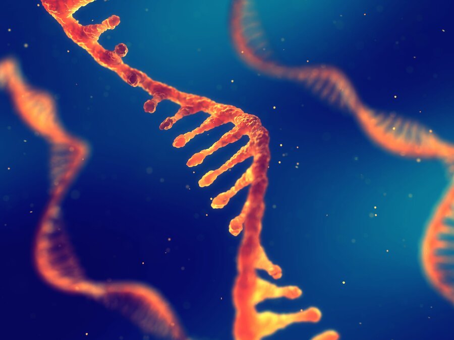 Noen virus har RNA som sitt arvemateriale i stedet for DNA. Der DNA består av to spiralformede tråder, består RNA kun av én tråd. 