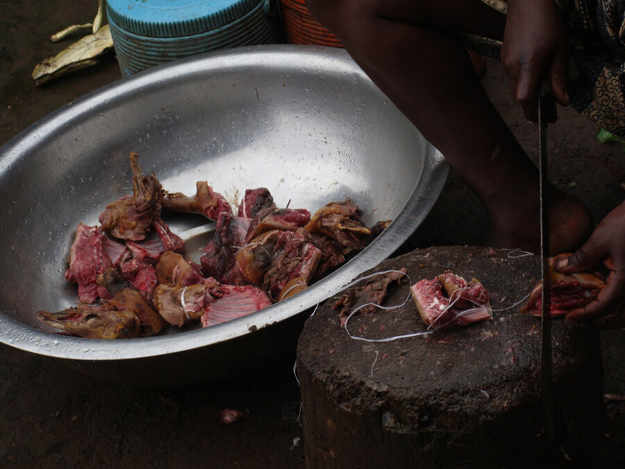 Bushmeat er en samlebetegnelse på kjøtt fra ville dyr i Afrika. Bushmeat kan bidra til spredningen av zoonotiske virus og bakterier.
