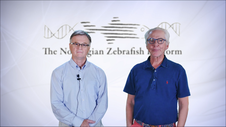 Professorene Charles Press (til venstre) og Peter Alestrøm har fått status som Meritterte undervisere blant annet på grunn av arbeidet med The Zebrafish App.