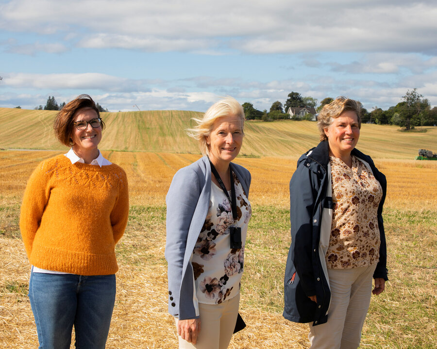 Forskningen representert i styingsgruppa: Wendy Waalen, Nibio, Kari Kolstad, NMBU, og Kristin Hollung, Nofima.