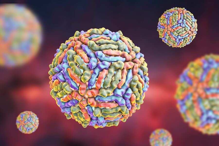 Vestnilvirus, 3D illustrasjon. Viruset er en myggbåren infeksjon. Det fungerer sånn at fugler infiseres, får høye nivå av virus i blodet, myggen suger blod av fuglene og så omformes viruset til enda høyere nivåer i myggen - og myggen stikker deretter menn