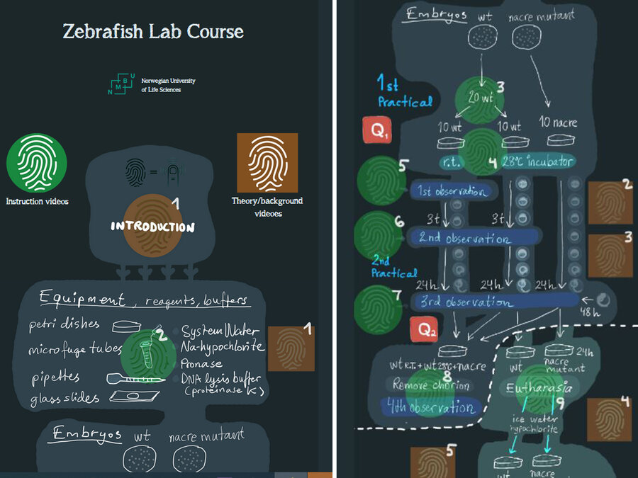 Info i lomma: The Zebrafish App er utviklet i samarbeid med Læringssenteret ved NMBU.