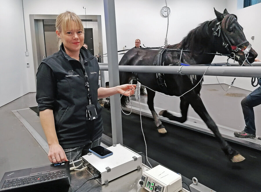 Ved NMBU Veterinærhøgskolen Dyresykehuset – hest gjennomfører de ukentlig luftveistester på travhester. – Veterinærene får veldig gode svar til både forskning og i den kliniske hverdagen, sier Zoe Fretheim-Kelly.