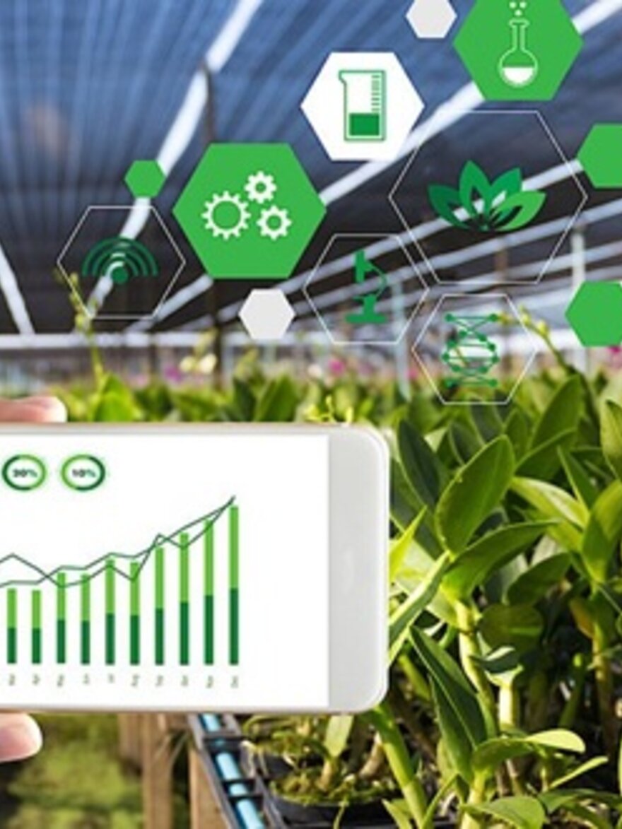 Advancing Controlled Environment Agriculture Using Artificial Intelligence